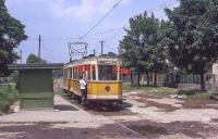 Imagine atasata: Calea Bogdanestilor - 1980 iulie.jpg